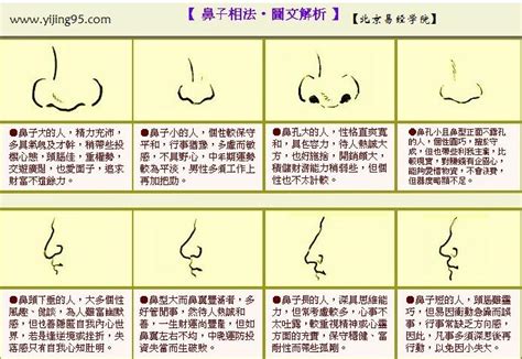 鼻子運勢|「面相」鼻為面王，鼻子看你性格和財運！